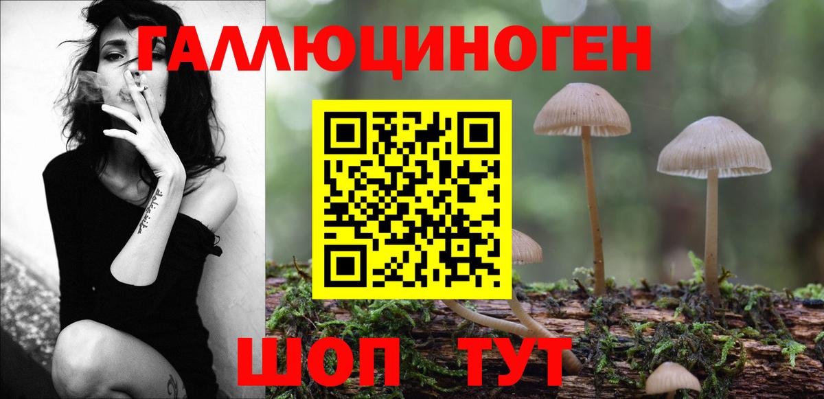 Алейск  Галлюциногенные грибы Psilocybe  Галлюциногенные грибы Cubensis  Вход с VPN 